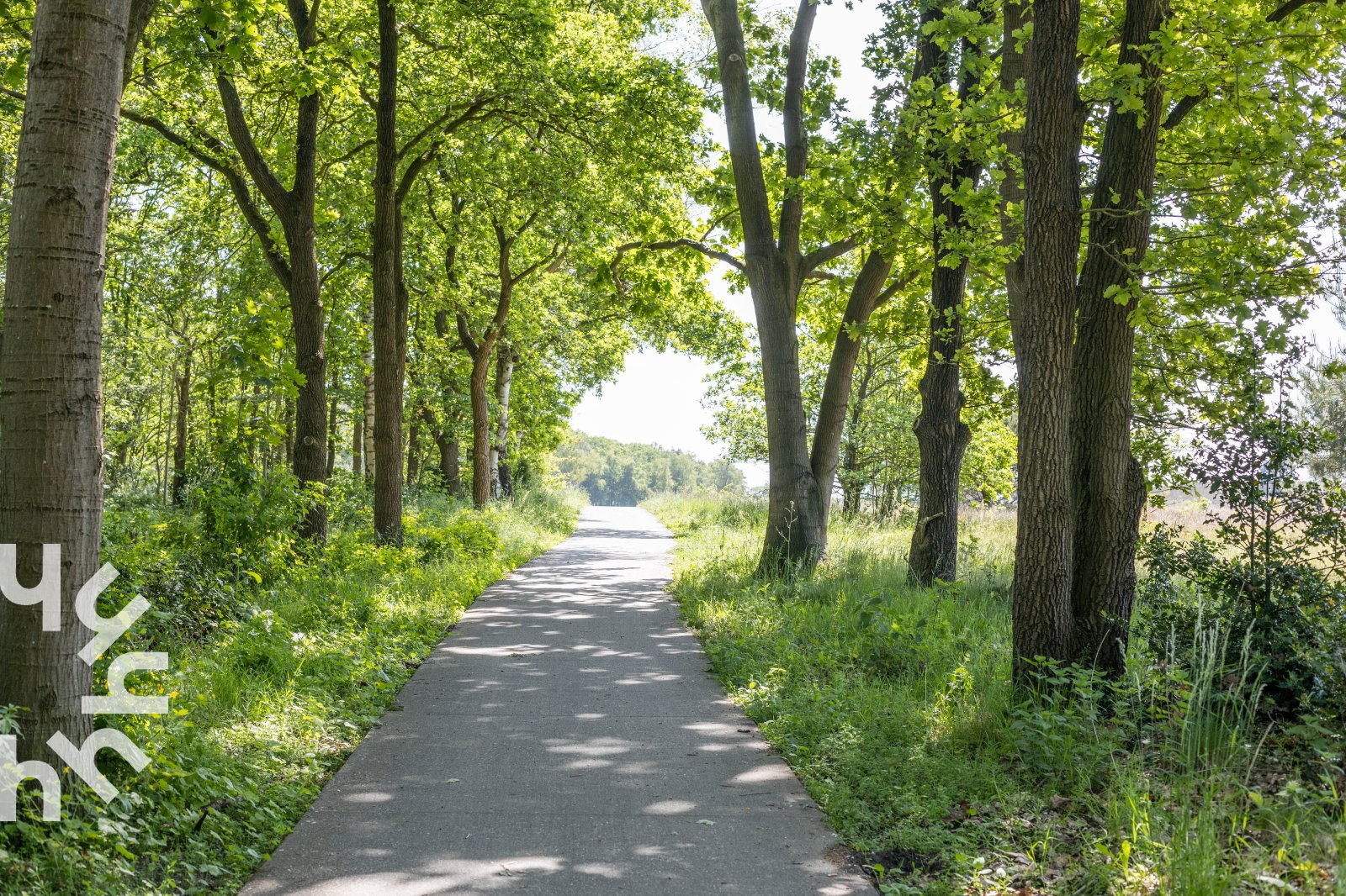 comfortabel-2-persoons-chalet-in-vierhouten-op-een-unieke-locatie-op-de-veluwe