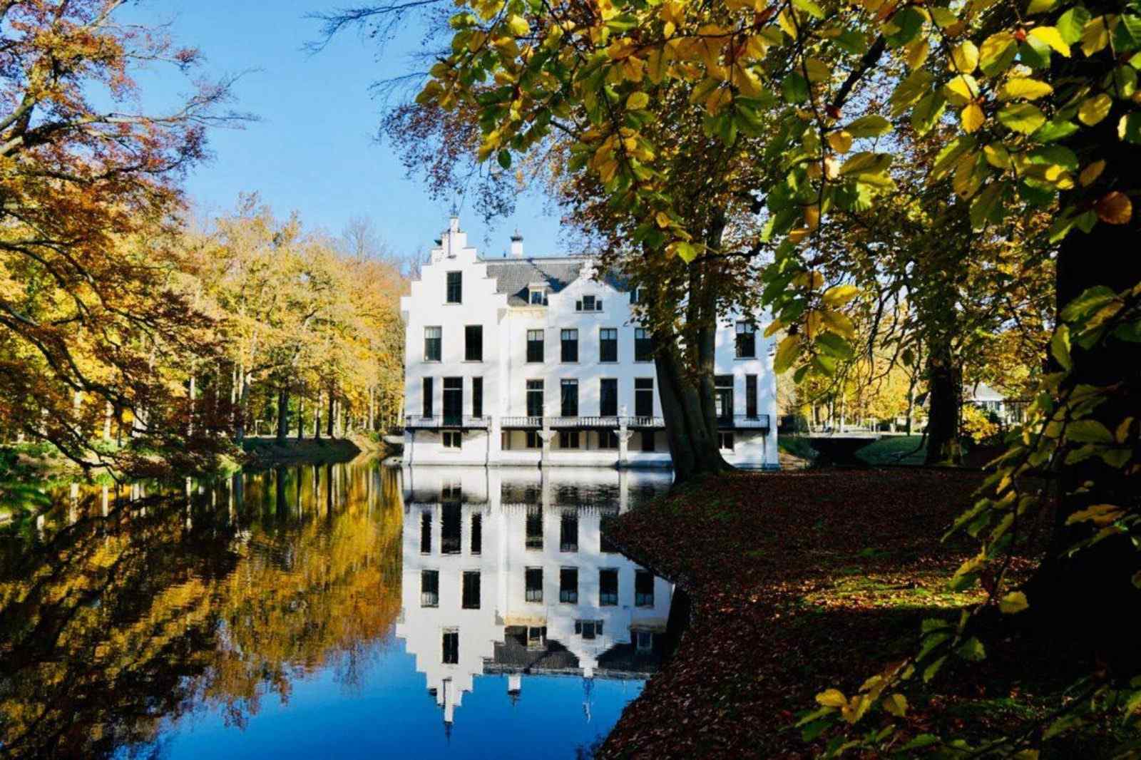 prachtige-4-persoons-heide-lodge-in-harderwijk-op-een-vakantiepark-op-de-veluwe