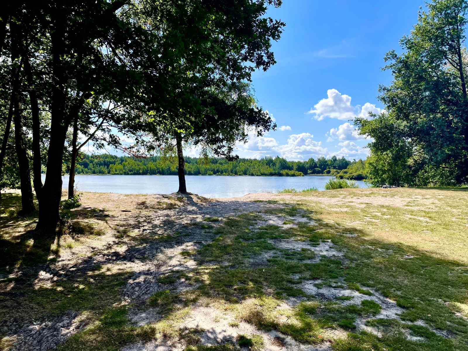 vrijstaand-4-persoons-vakantiebungalow-midden-in-het-bos-in-drenthe