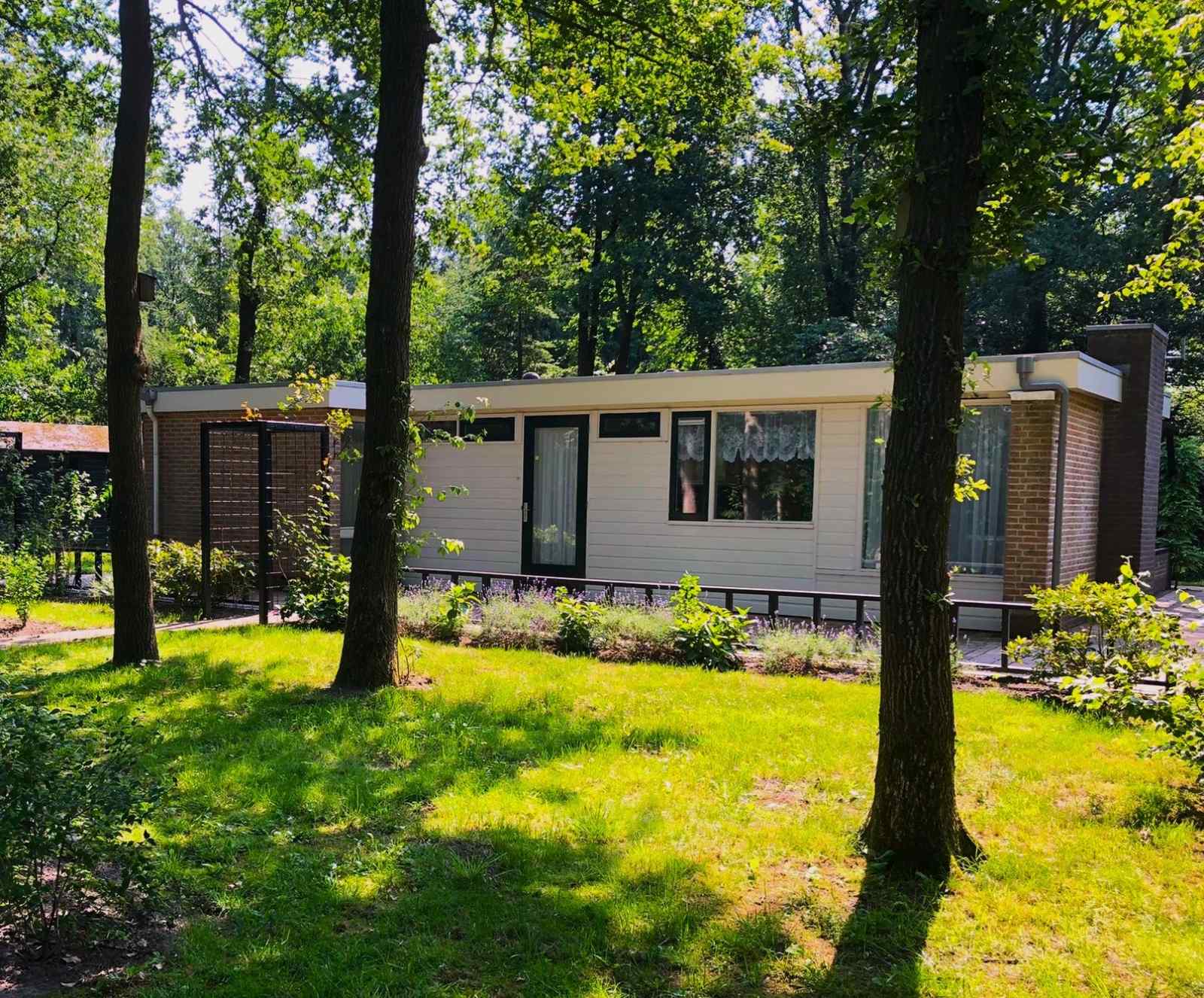 vrijstaand-4-persoons-vakantiebungalow-midden-in-het-bos-in-drenthe