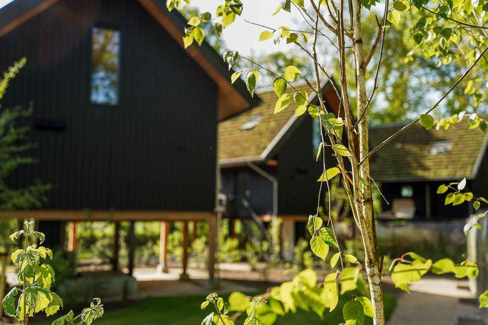 duurzaam-5-persoons-vakantiehuis-op-de-veluwe