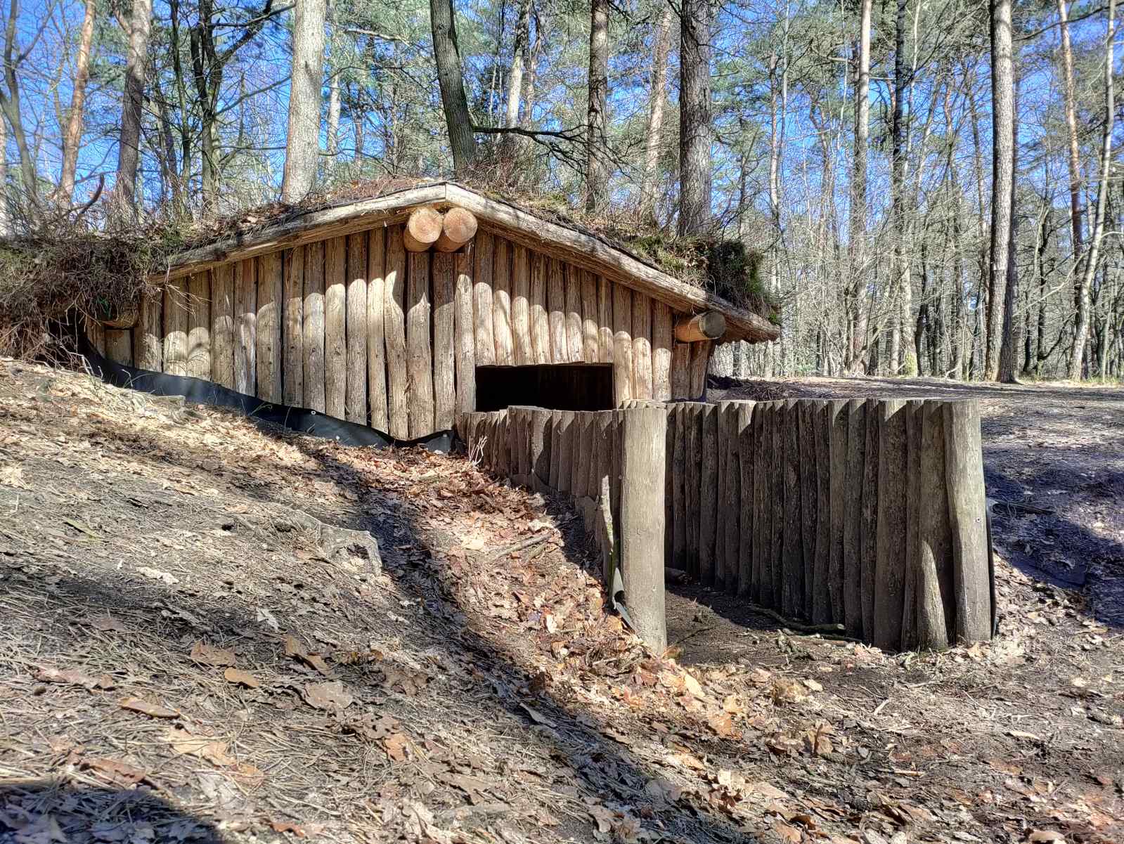 een-sfeervolle-4-persoons-boslodge-met-veranda-en-zit-kuil-in-emst-midden-in-de-natuur