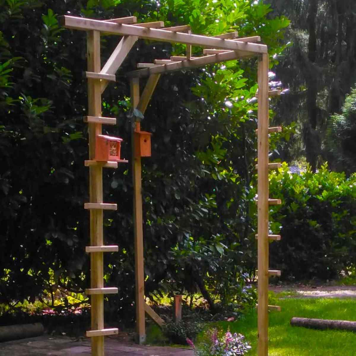 DG1545