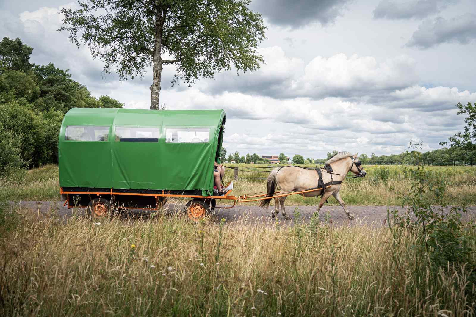 comfortabel-14-persoons-groepsaccommodatie-in-oude-willem-drenthe