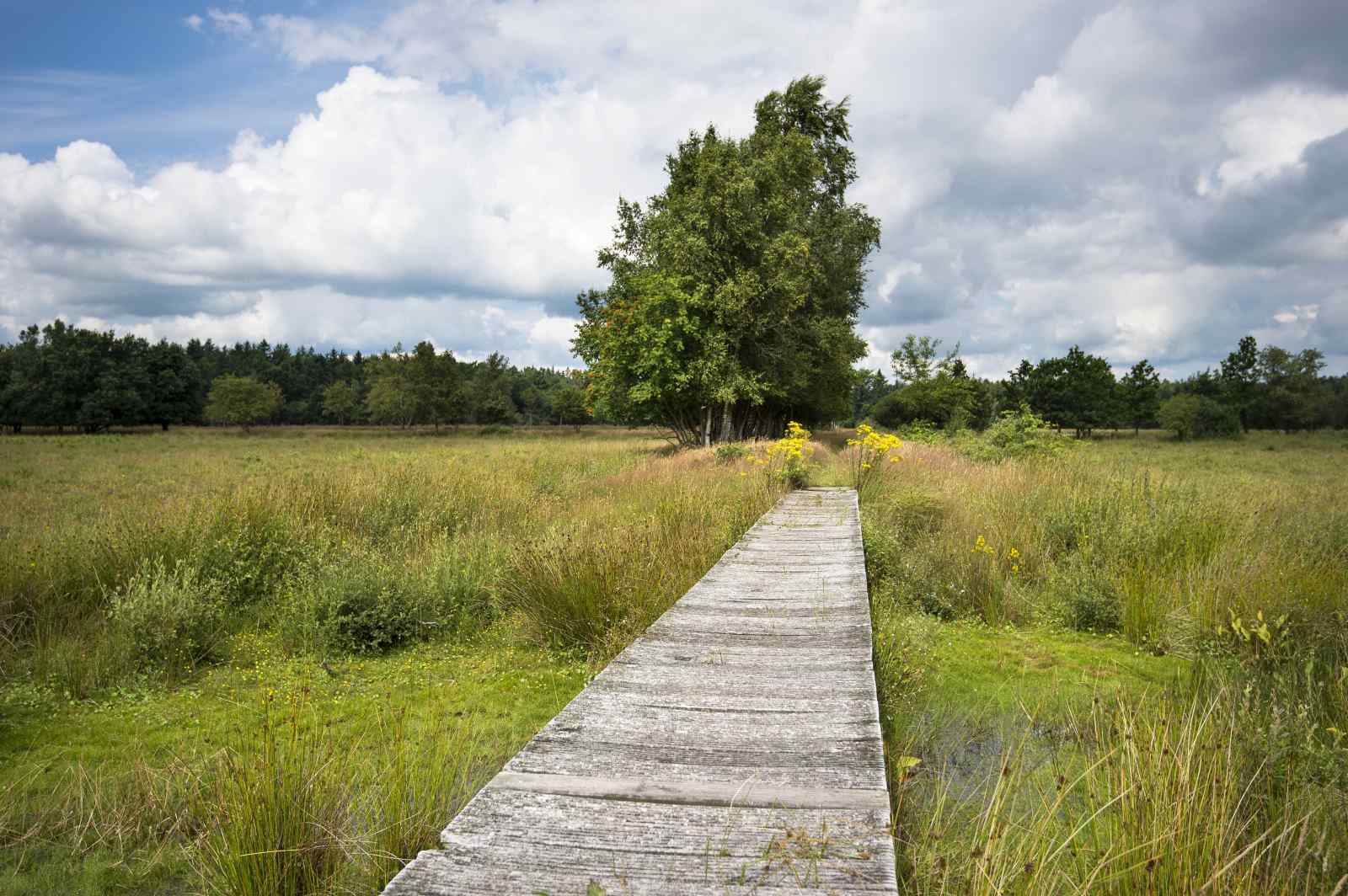 comfortabel-14-persoons-groepsaccommodatie-in-oude-willem-drenthe