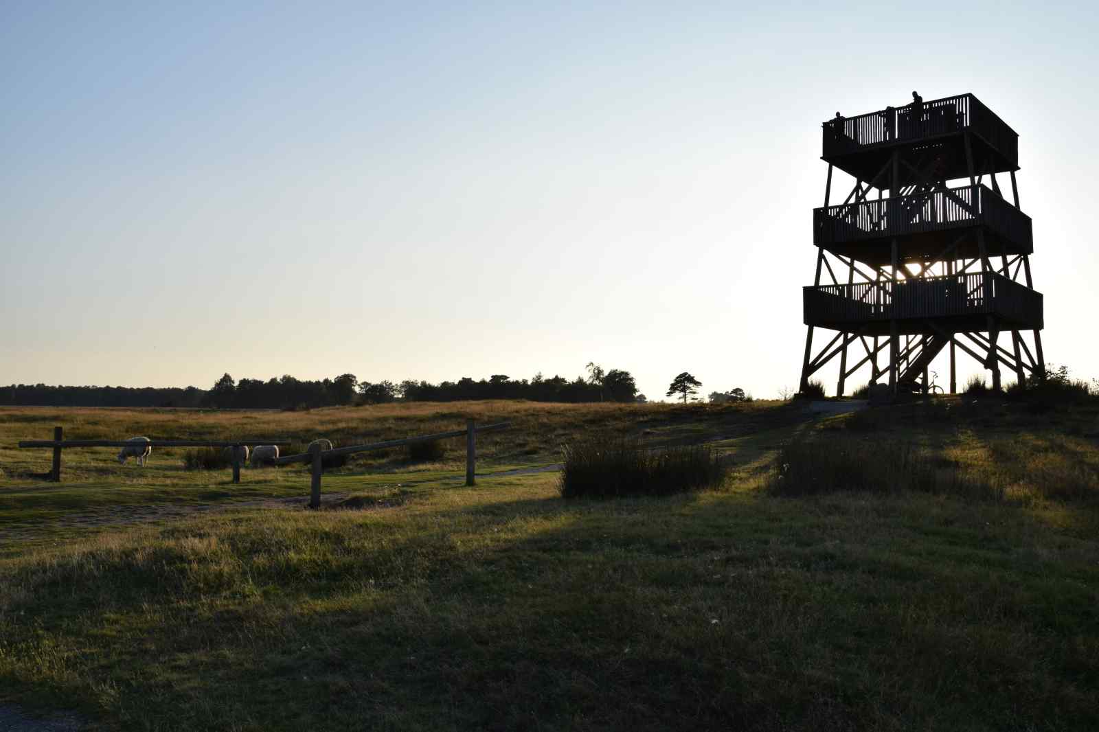 14-persoons-groepsaccommodatie-met-6-badkamers-in-oude-willem-drenthe