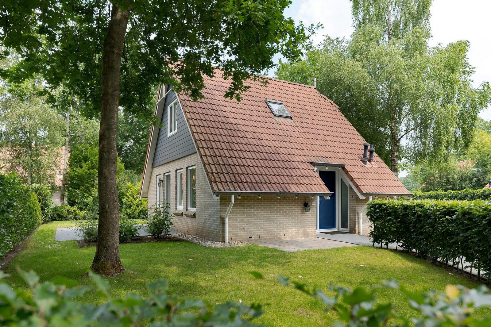 DG1653