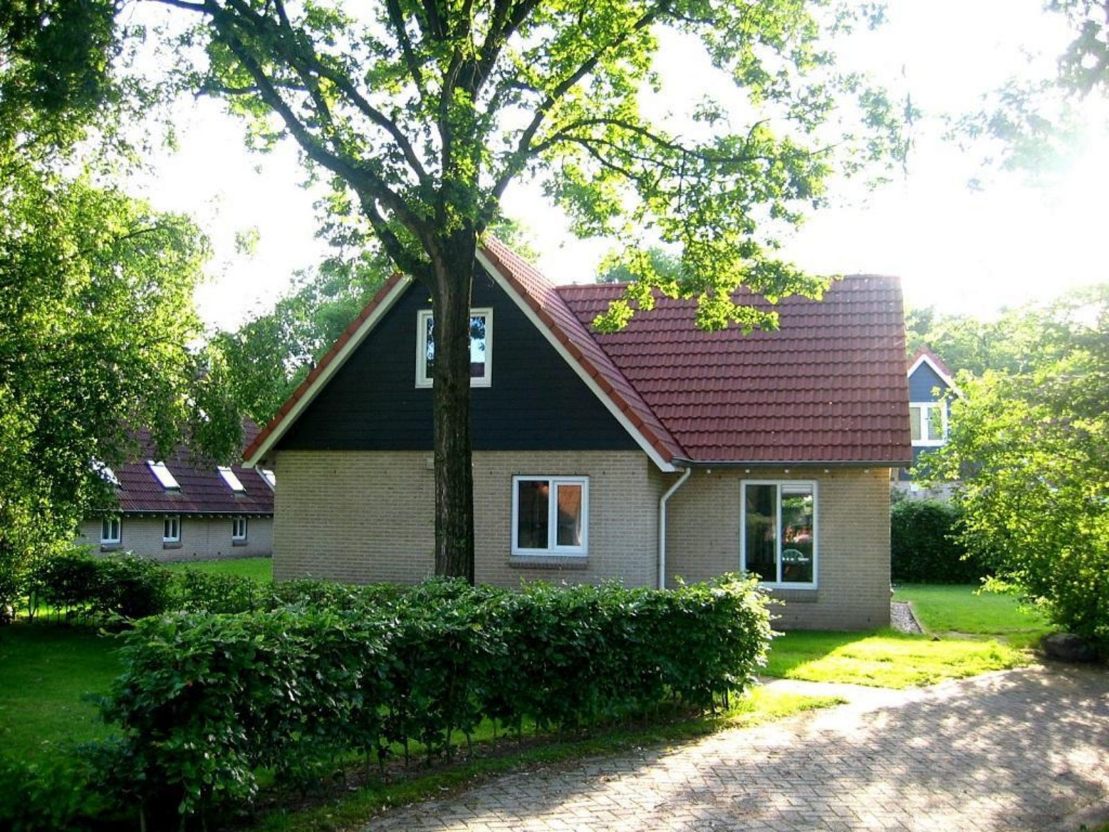DG1674
