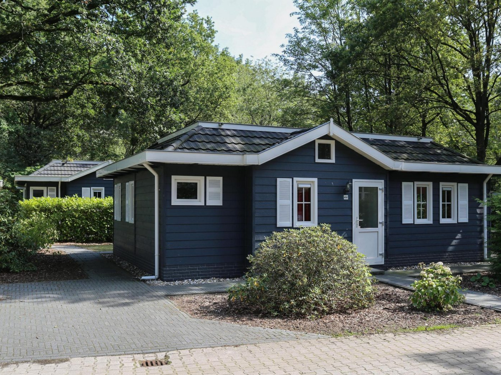 Gelijkvloerse 6-persoons chalet op een vakantiepark in Drenthe