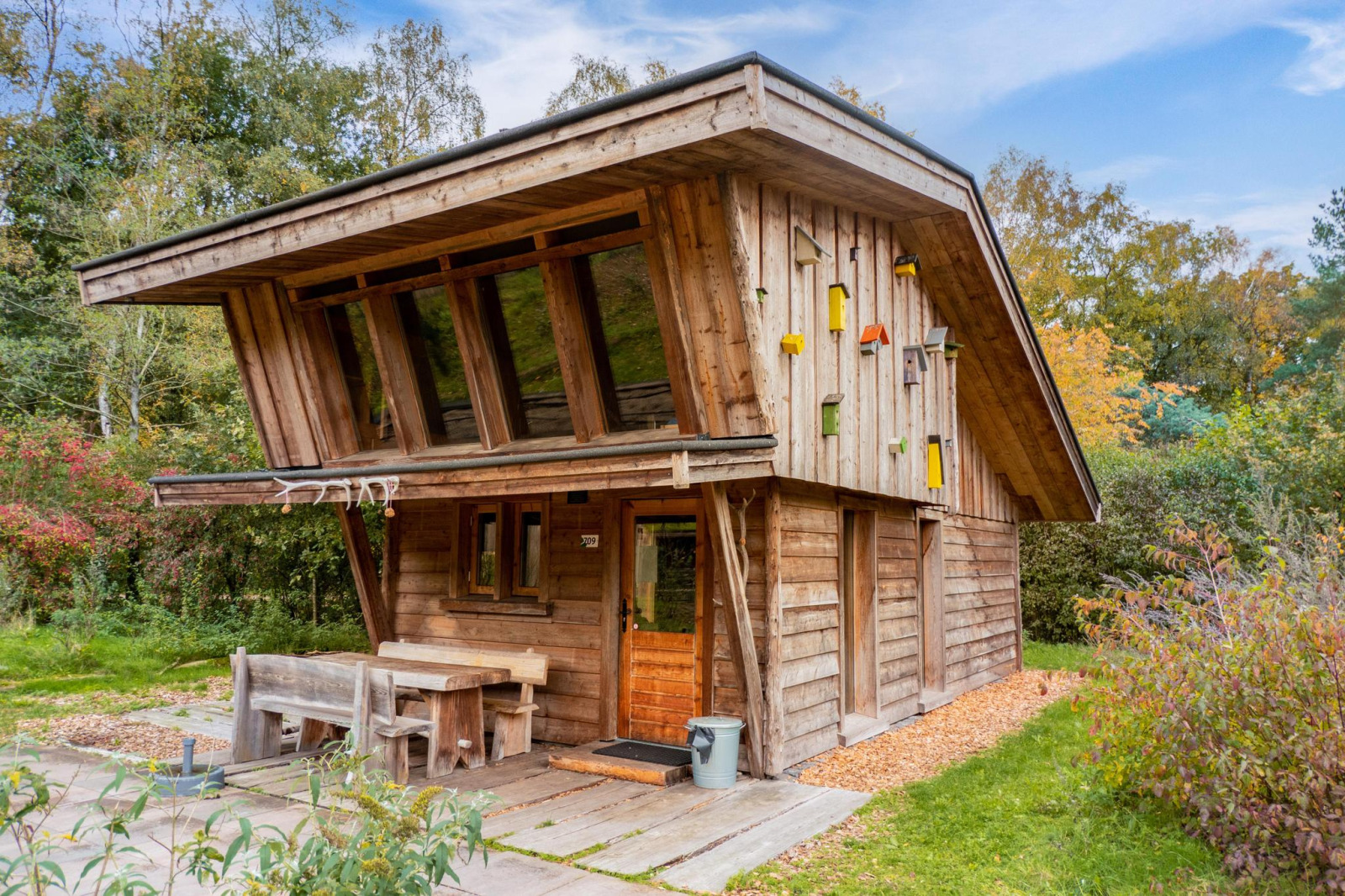 Houten chalet voor 8 personen in bosrijke omgeving - Nederland - Europa - Otterlo