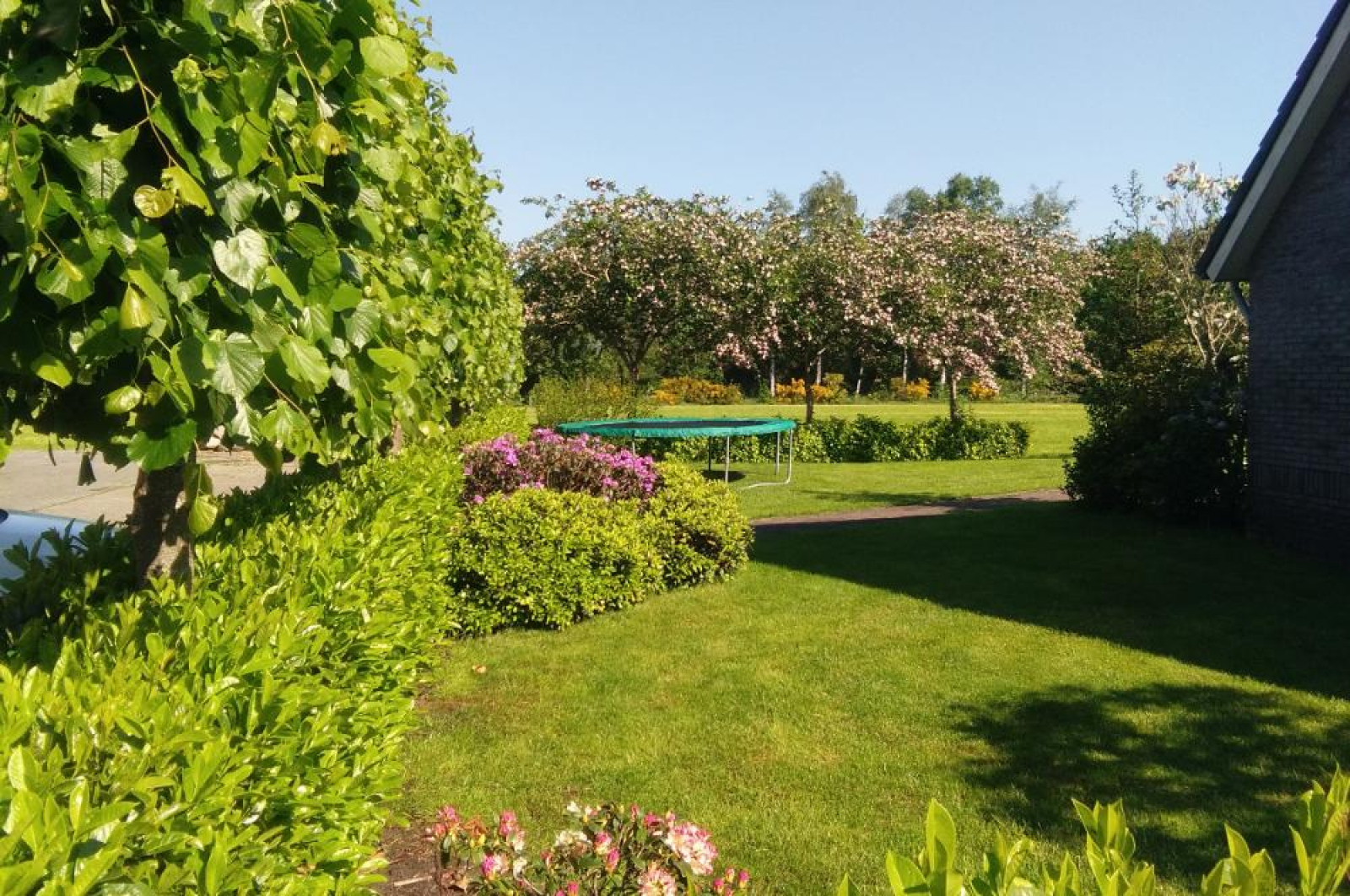 sfeervolle-6-tot-8-persoons-vakantiehuis-met-grote-tuin-nabij-dwingeloo