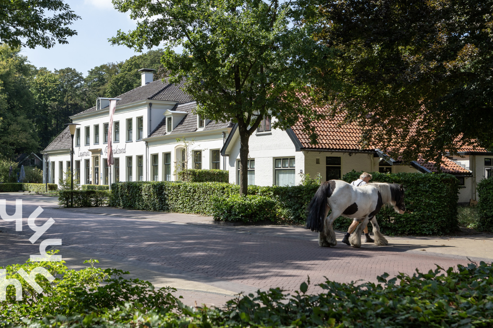 Vakantieboerderij in Diever voor 6 personen foto 11