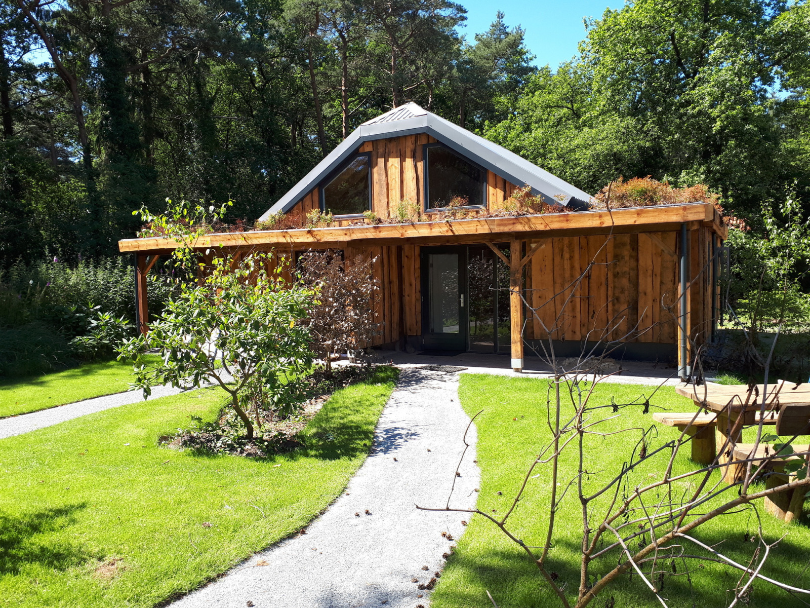 Uniek 12-persoons vakantiehuis met regendouche en bosrijke ligging op park in Drenthe — groepsaccommodatie in Norg