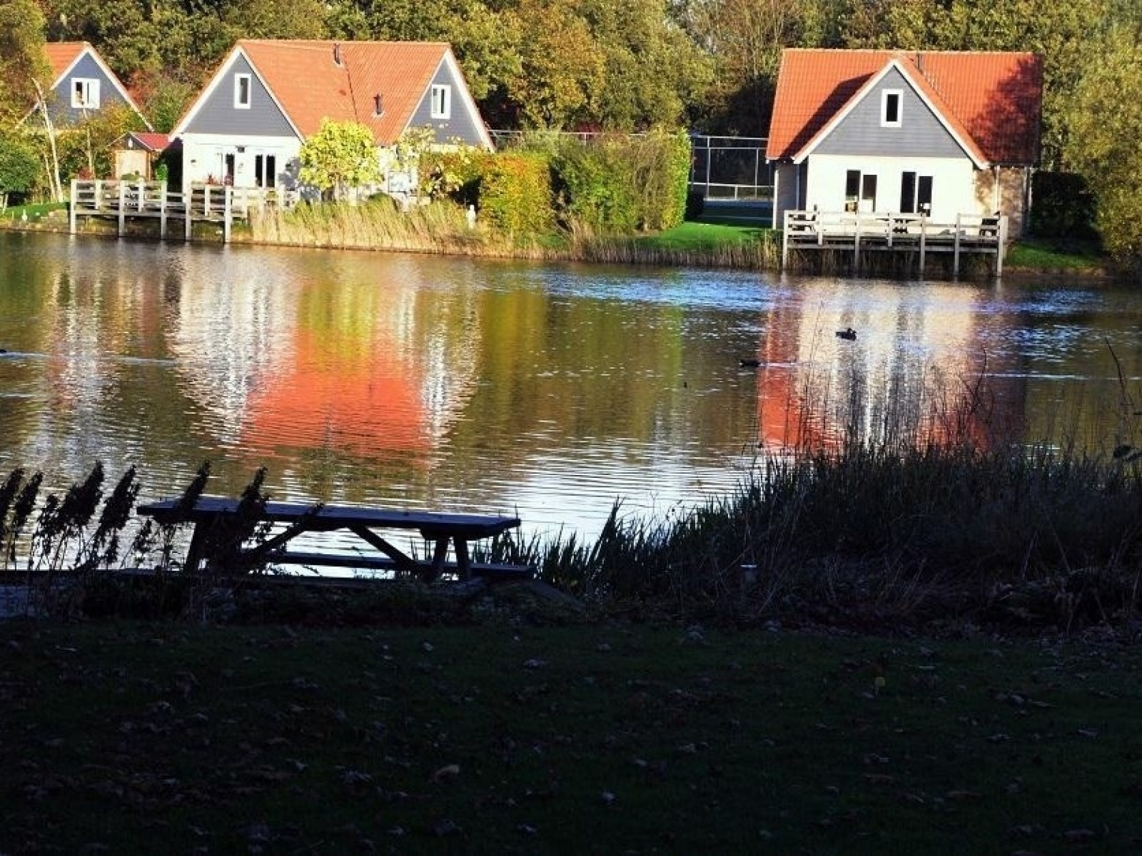 Bungalow in Westerbork voor 8 personen foto 19
