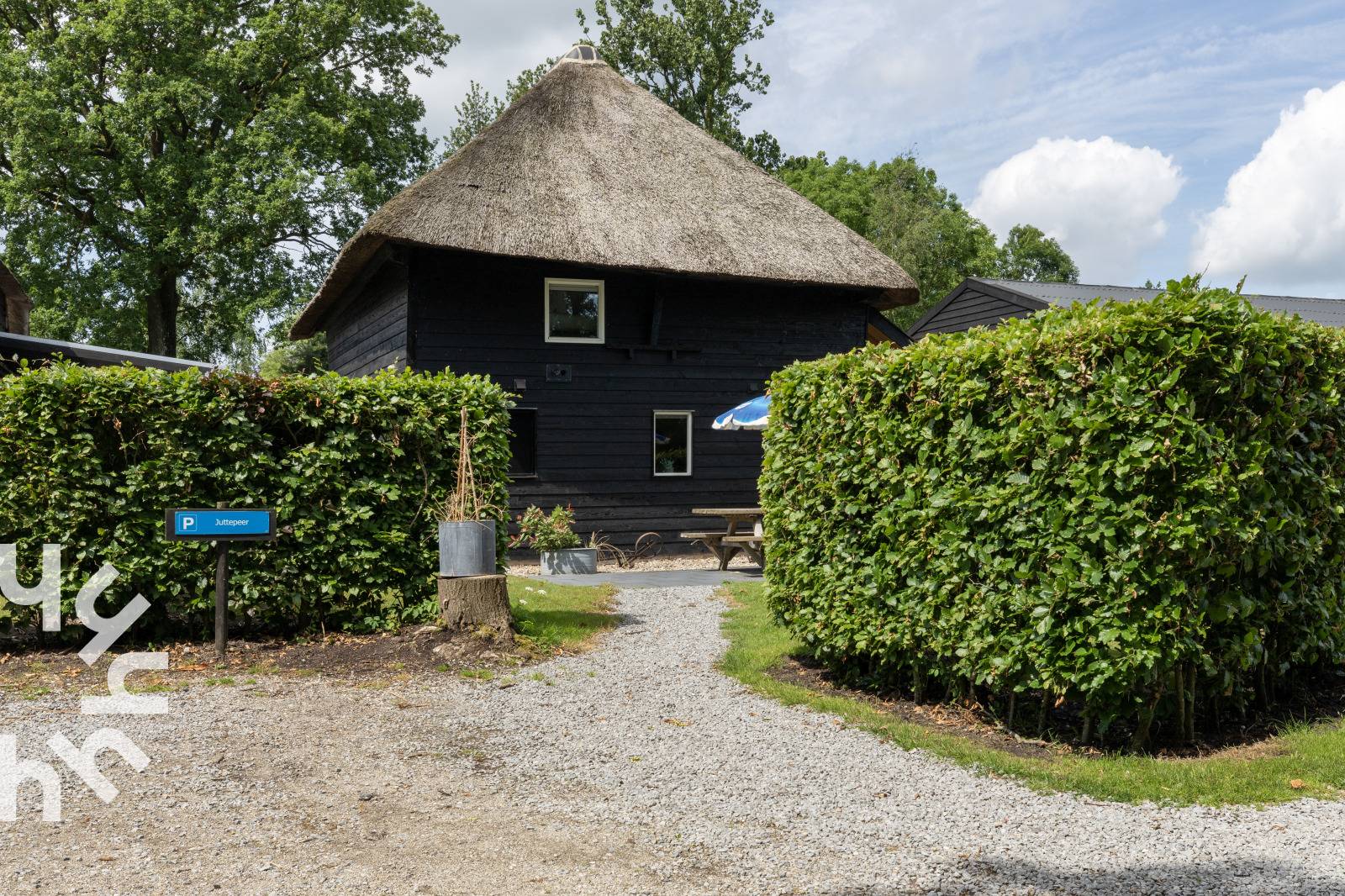 mooi-6-persoons-vakantiehuis-naast-een-wijngaard-in-ruinerwold-drenthe