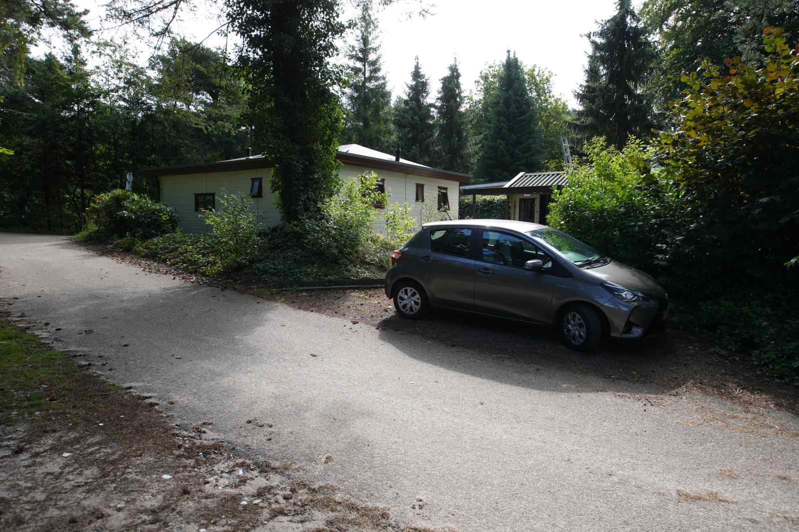 DG252