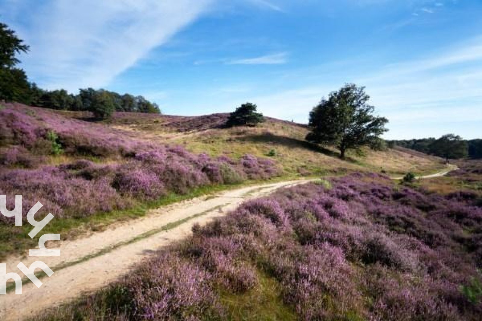 knus-2-persoons-chalet-in-vierhouten-op-een-unieke-locatie-op-de-veluwe