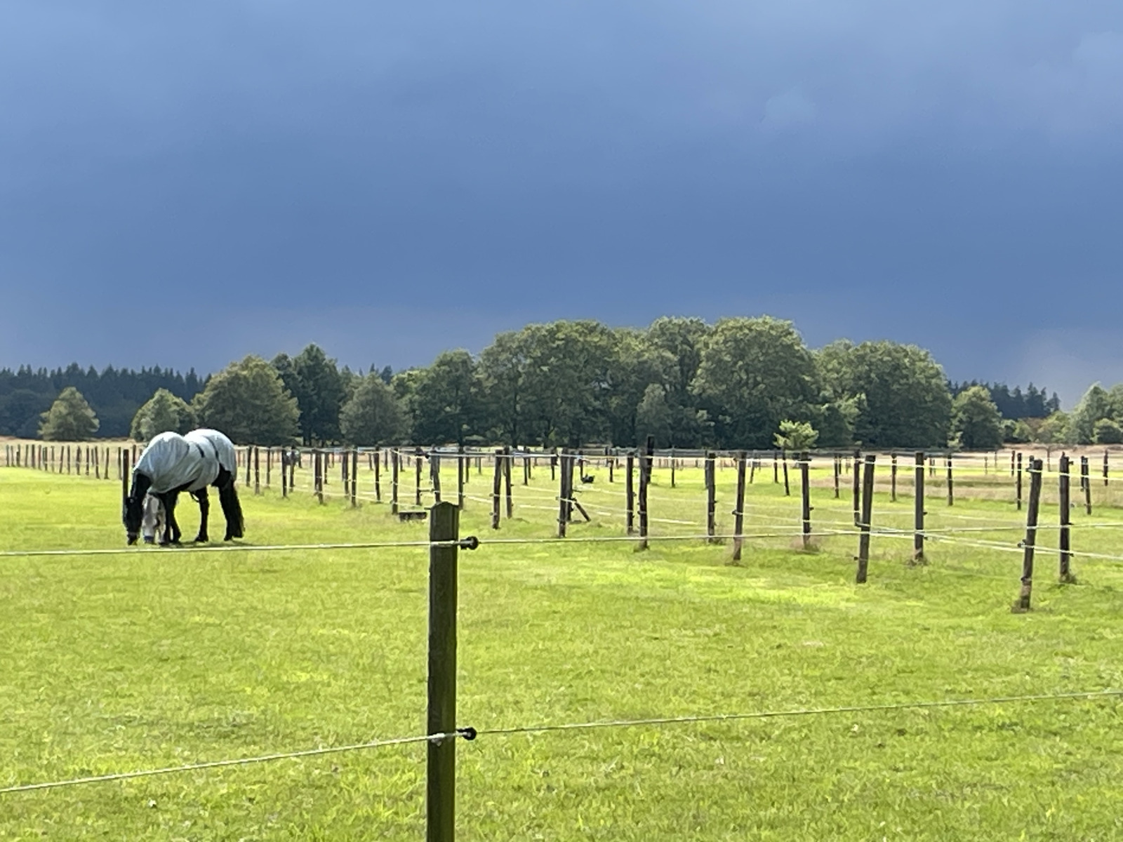 mooi-2-persoons-particulier-vakantiehuis-in-exloo-drenthe