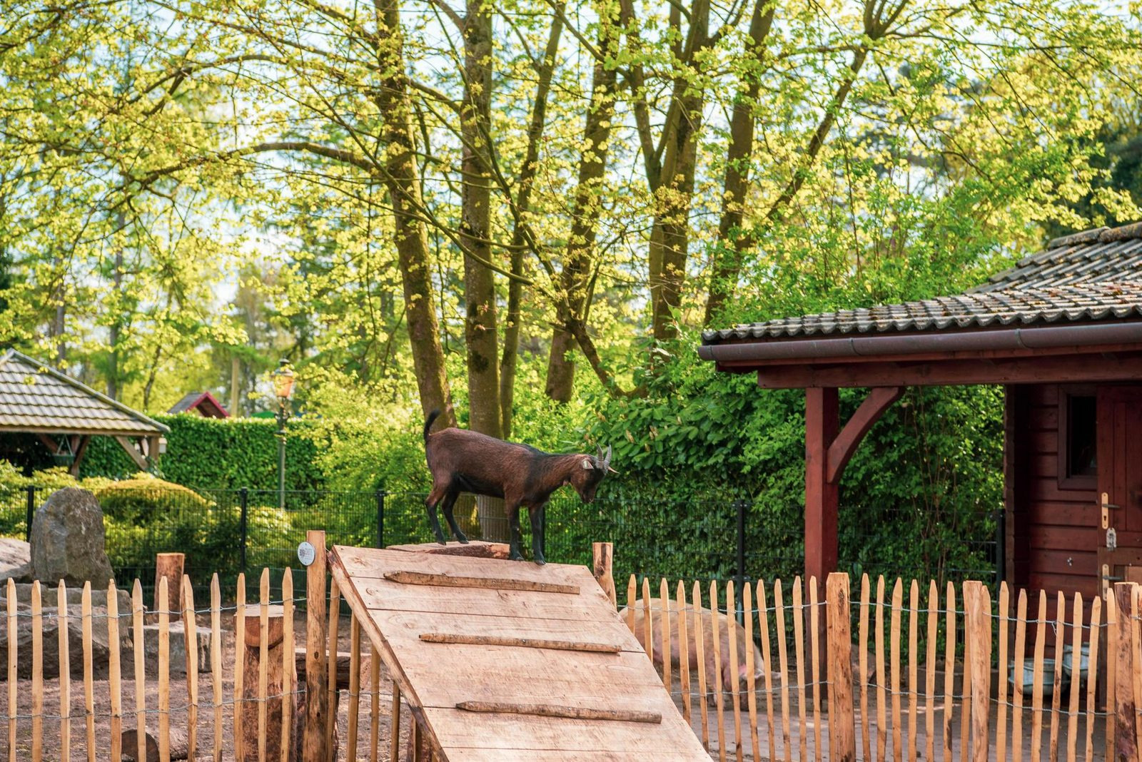 prachtig-8-persoons-vakantiehuis-op-prachtig-vakantiepark-in-de-achterhoek