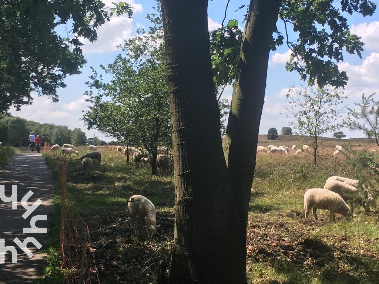 gezellige-2-persoons-chalet-met-bubbelbad-en-sauna-op-een-unieke-locatie-op-de-veluwe