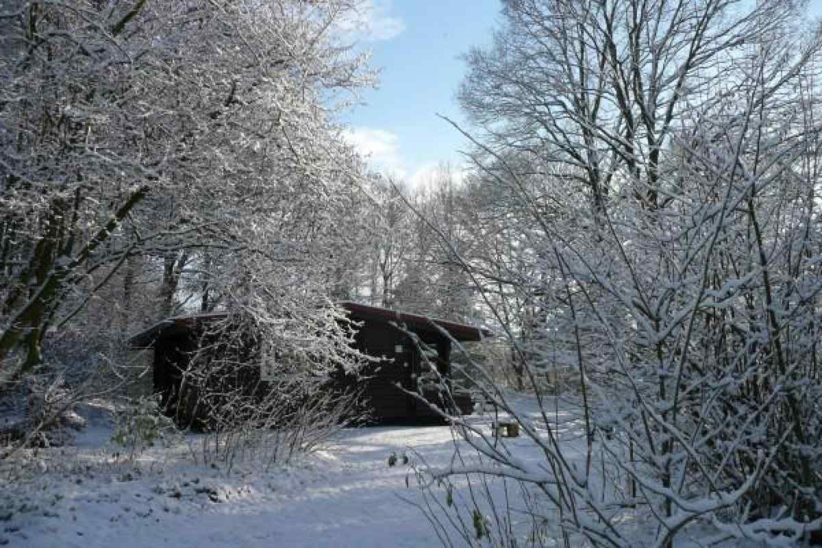 zes-persoons-finse-bungalow-aan-de-rand-van-het-bos