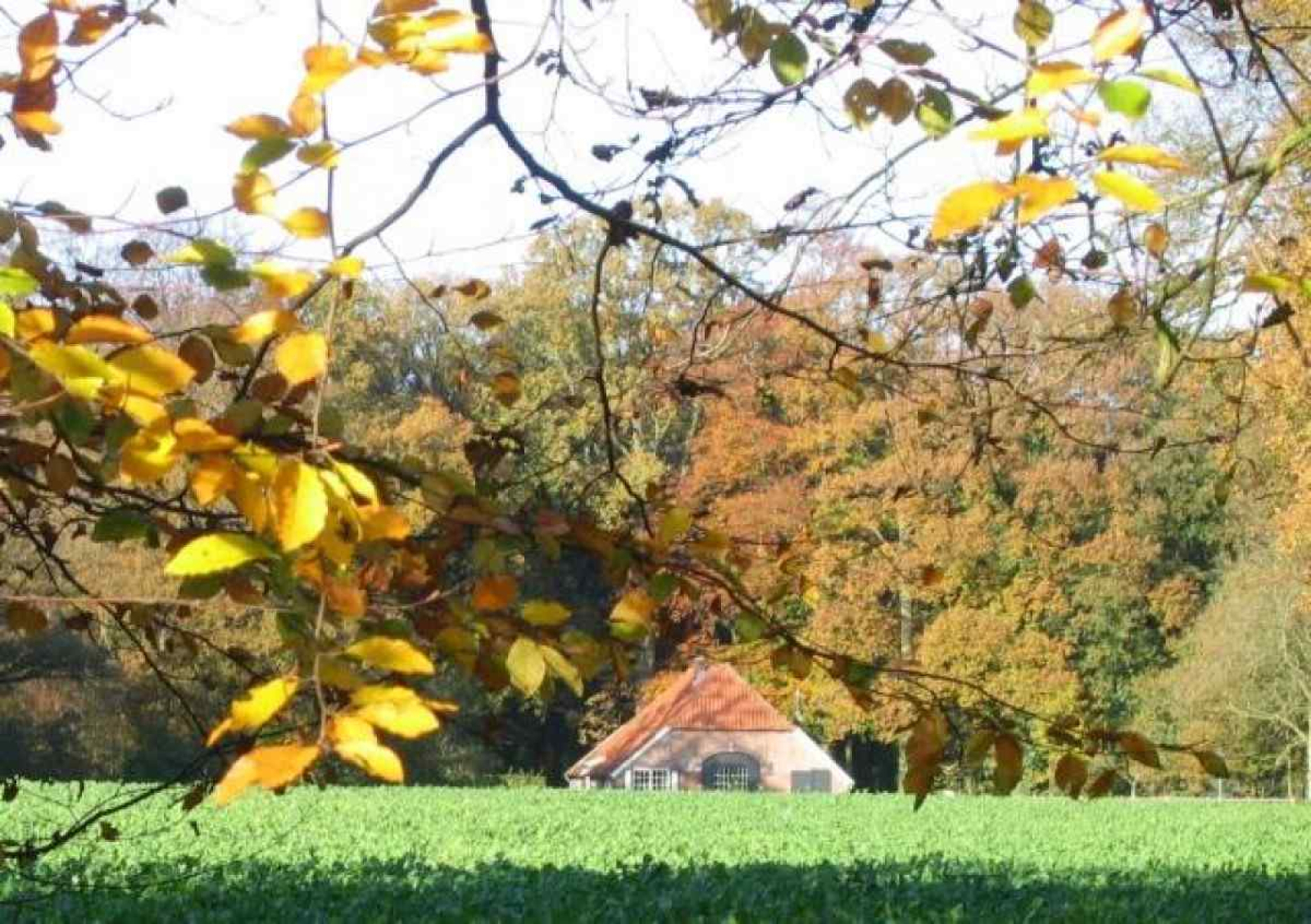 zeer-rustig-gelegen-zeven-persoons-vakantiehuis-in-gelderland