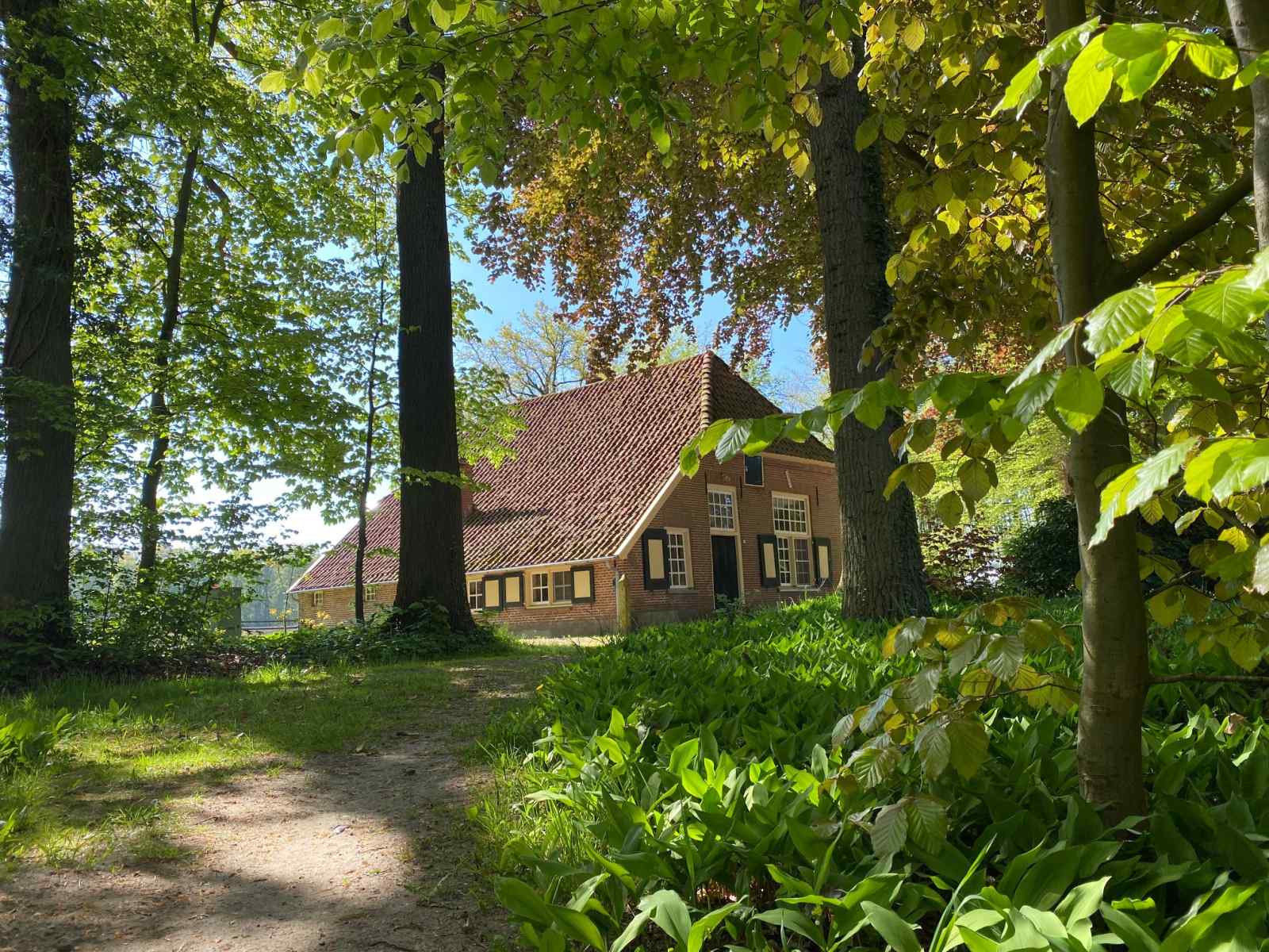 zeer-rustig-gelegen-zeven-persoons-vakantiehuis-in-gelderland