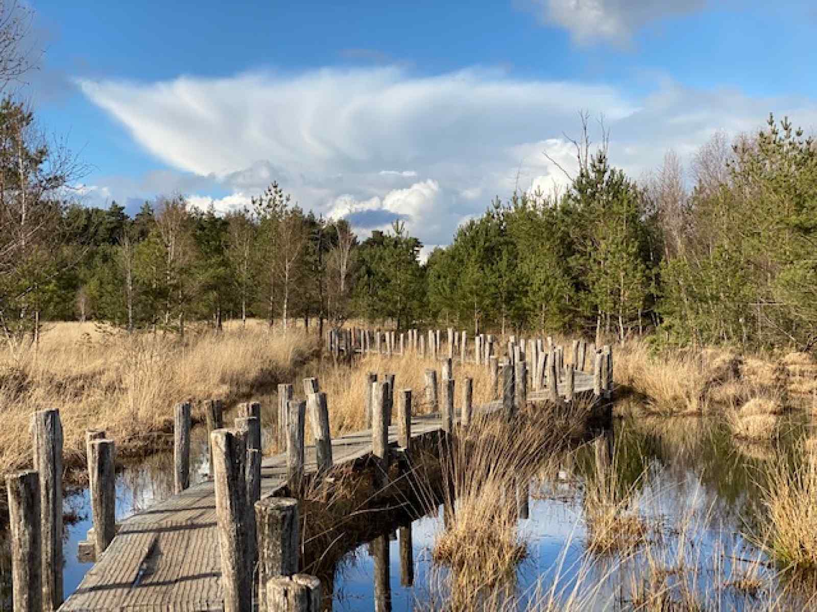 comfortabel4-6-persoons-vakantiehuis-gelegen-direct-aan-nationaal-park-t-dwingelderveld