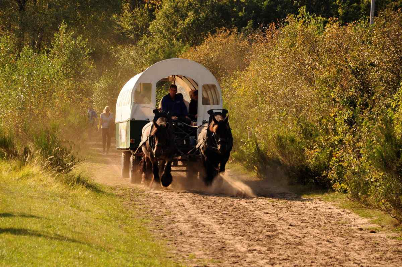 authentiek-noors-vakantiehuis-voor-7-personen-aan-t-nationaal-park-dwingelderveld