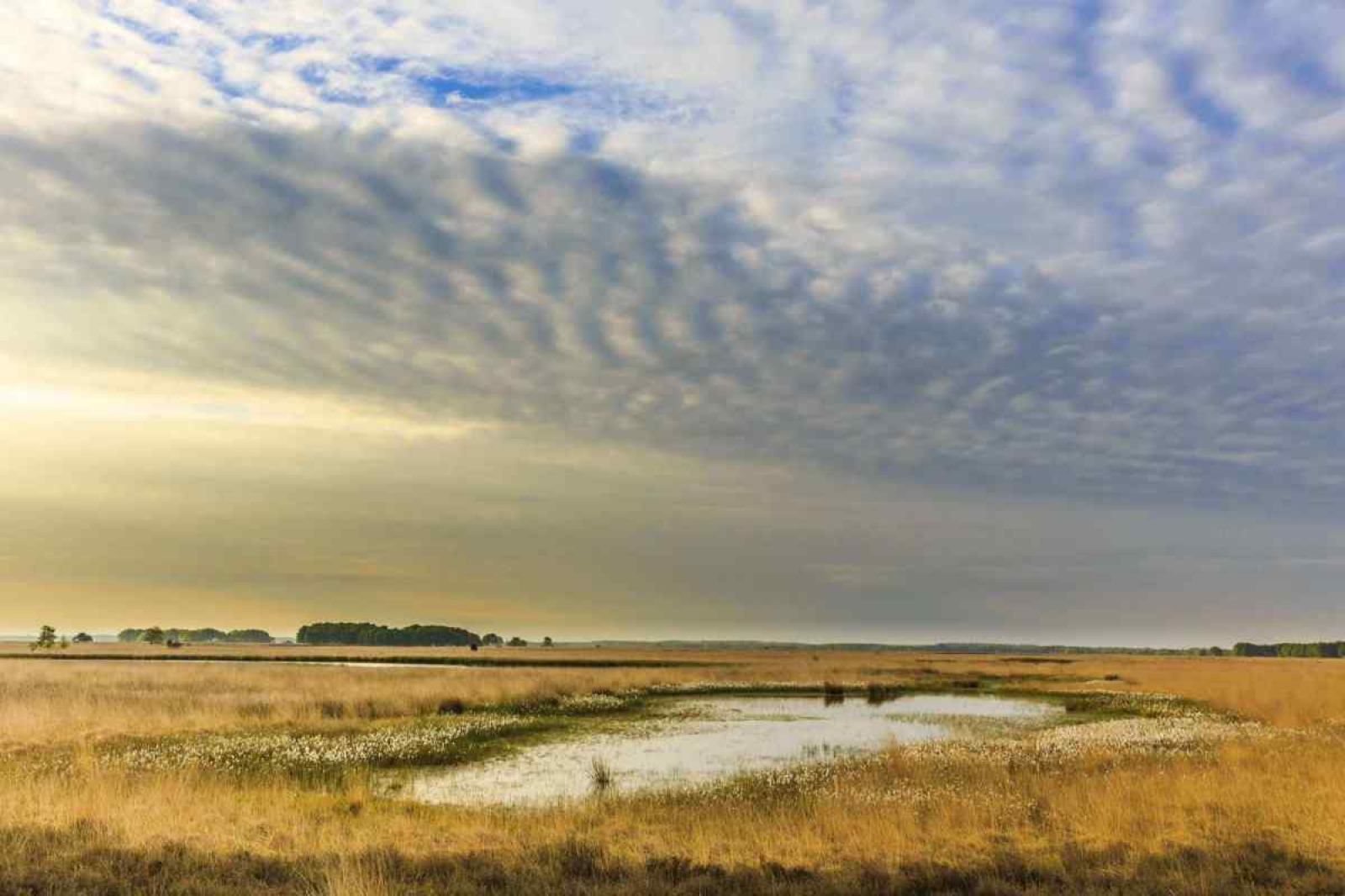 authentiek-noors-vakantiehuis-voor-7-personen-aan-t-nationaal-park-dwingelderveld