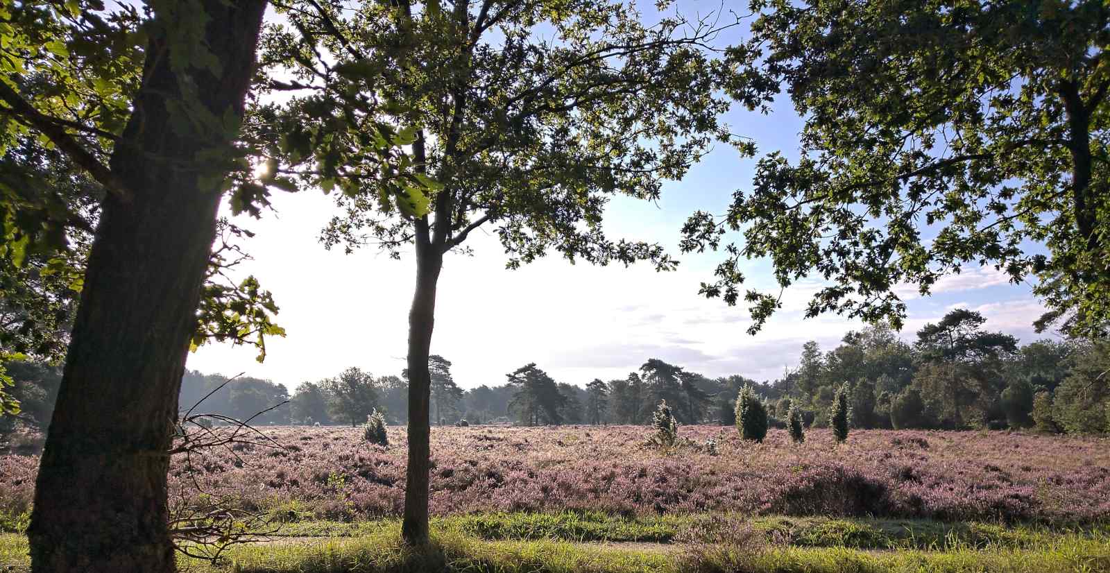 karakteristiek-2-persoons-vakantiehuis-met-pelletkachel-in-dwingeloo-drenthe