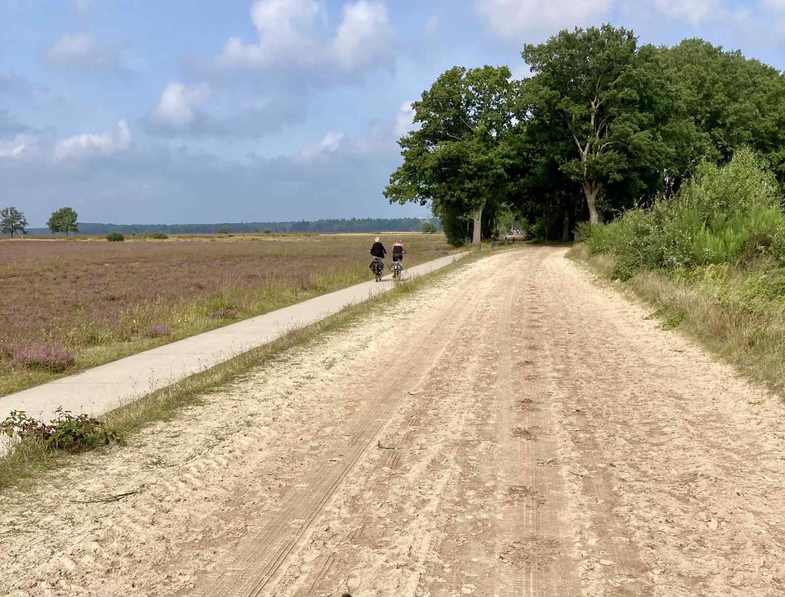 karakteristiek-2-persoons-vakantiehuis-met-pelletkachel-in-dwingeloo-drenthe