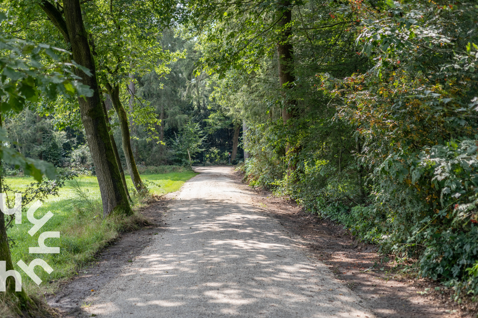 DG614