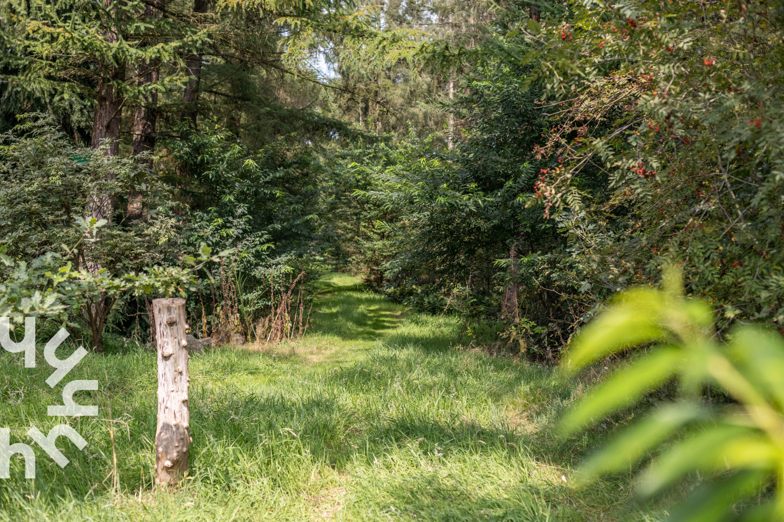 moderne-10-12-persoons-vakantieboerderij-geschikt-voor-mindervaliden-in-de-achterhoek