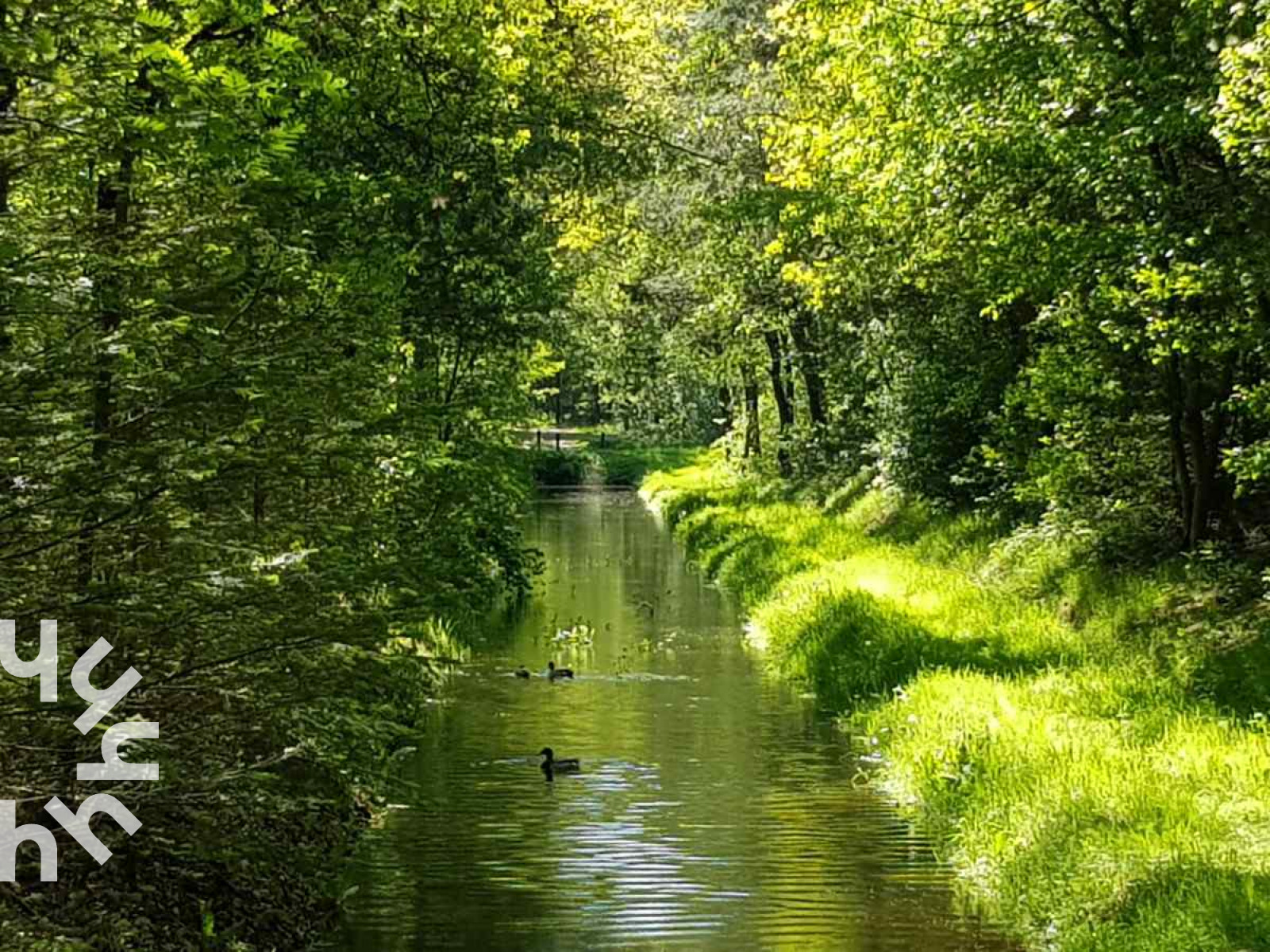 moderne-10-12-persoons-vakantieboerderij-geschikt-voor-mindervaliden-in-de-achterhoek