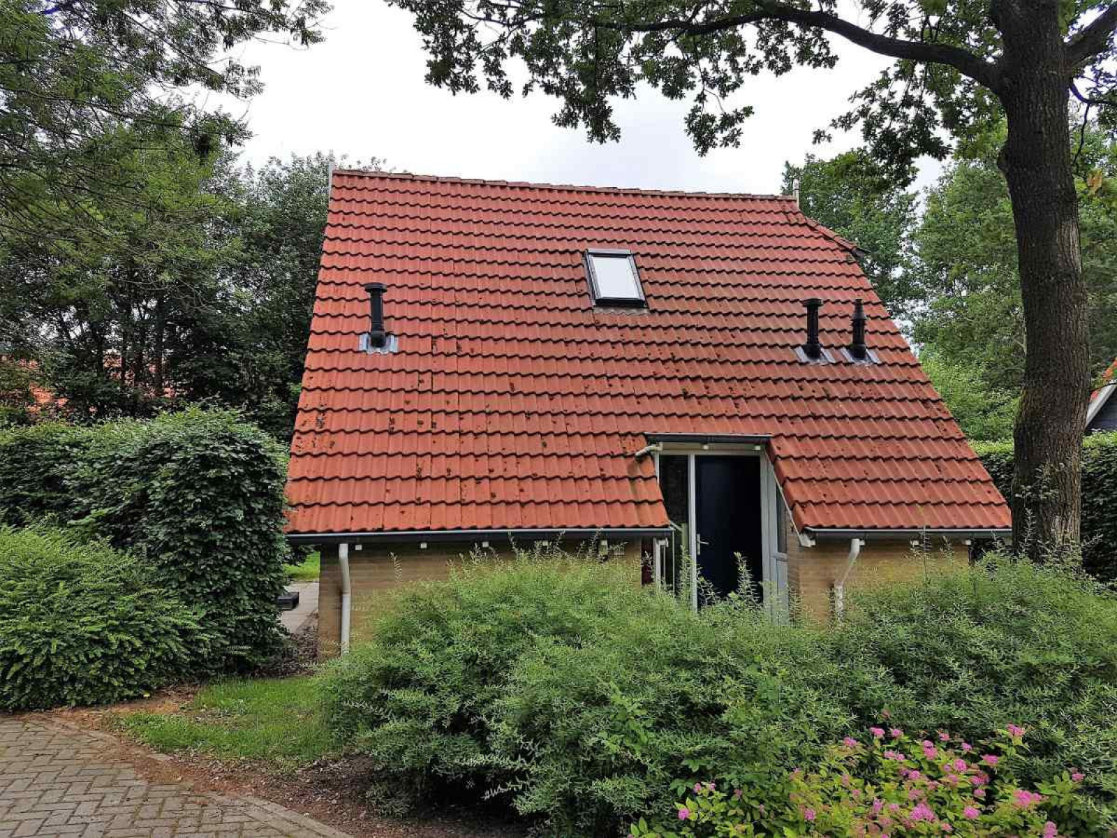 Mooi 4 persoons wellness vakantiehuis met bubbelbad en sauna in Westerbork
