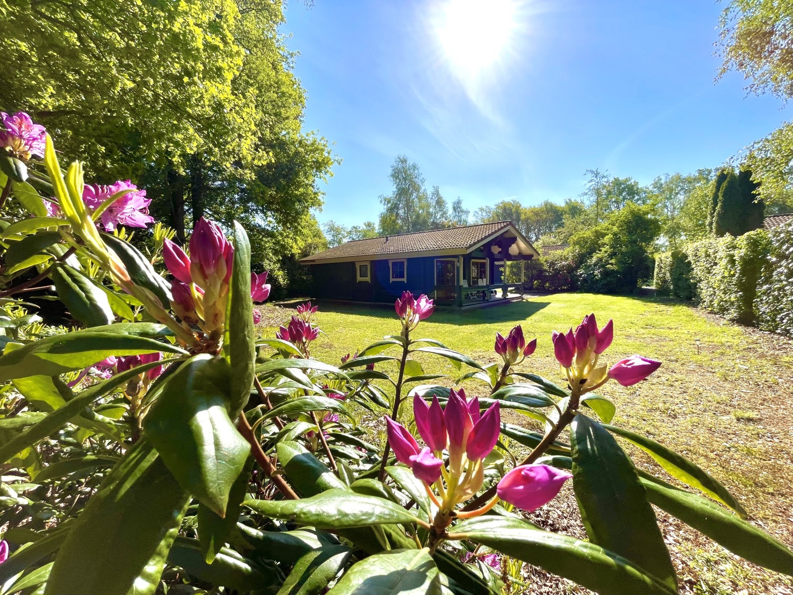 Bungalow in Hoogersmilde voor 6 personen foto 14