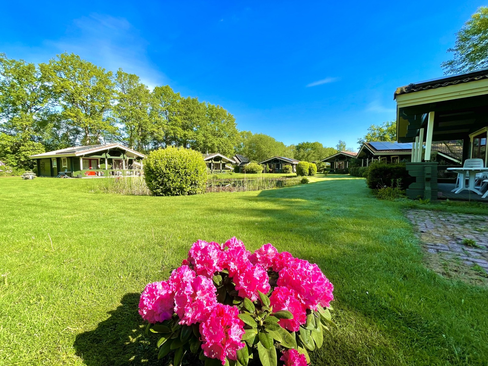 Bungalow in Hoogersmilde voor 6 personen foto 19