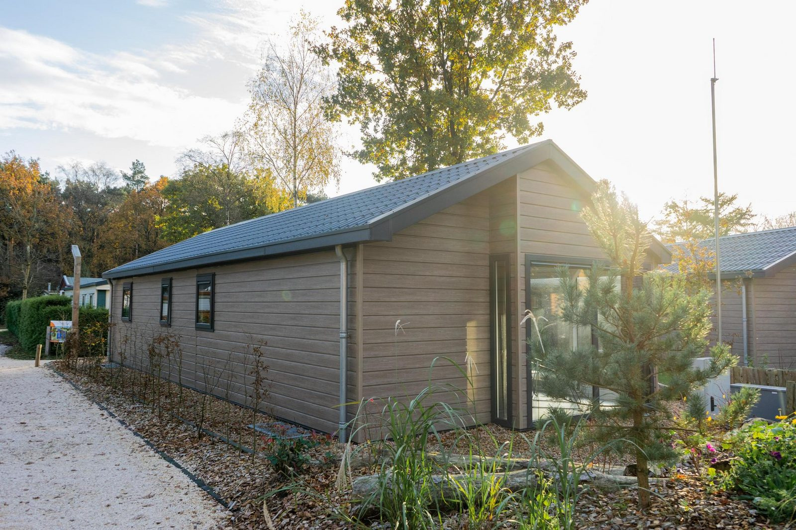 Chalet voor 4 personen gelegen op de Hoge Veluwe