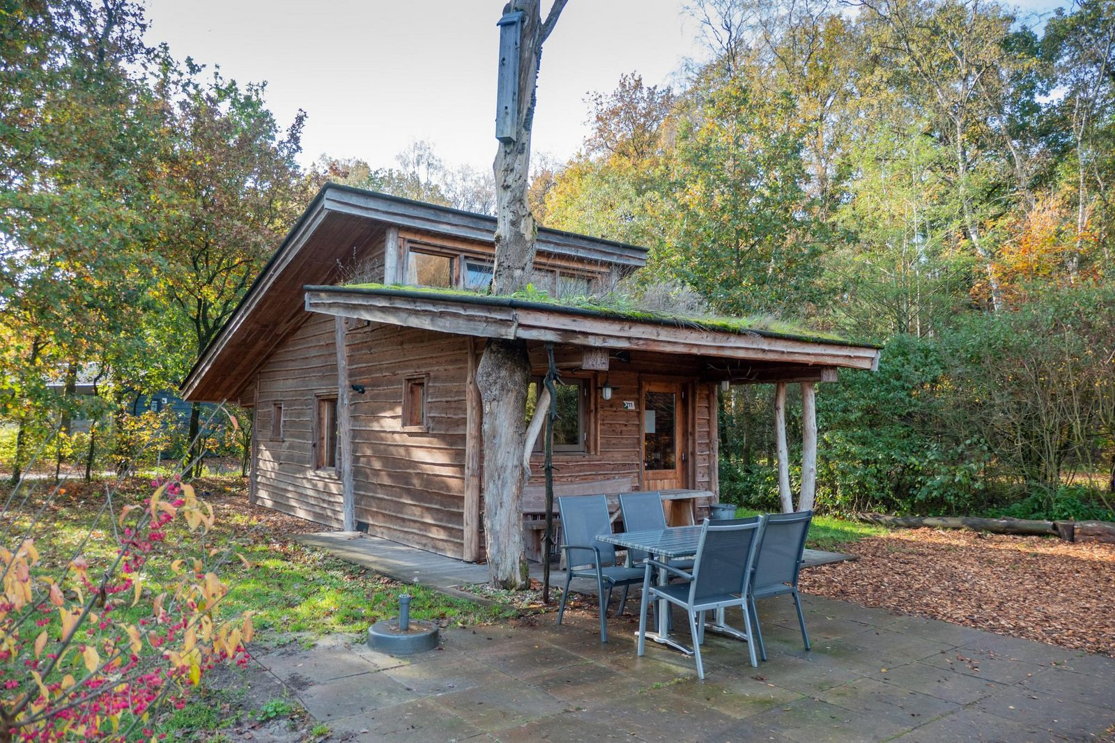 Houten chalet voor 6 personen in bosrijke omgeving