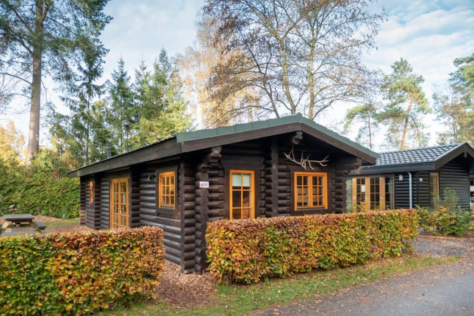 houten-chalet-voor-5-personen-in-bosrijk-gebied