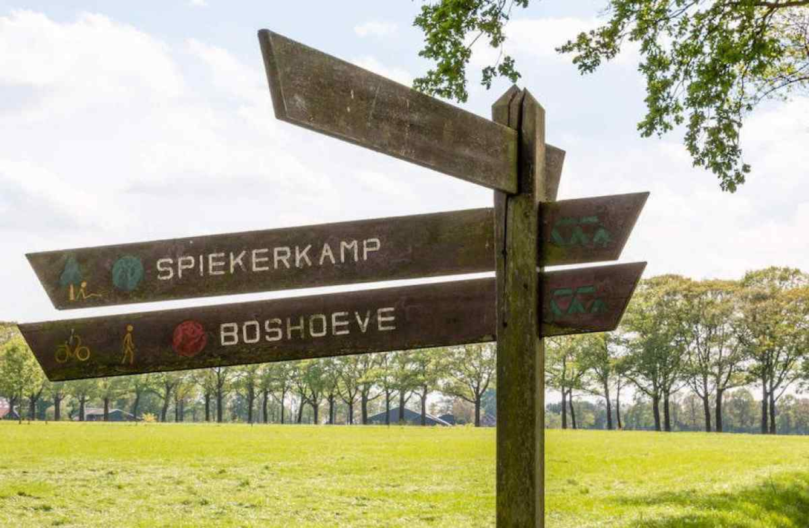 DG696