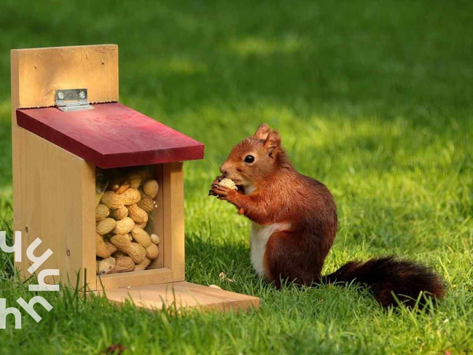 gezellig-2-persoons-vakantiehuisje-in-een-rustige-bosrijke-wijk-in-ermelo-op-de-veluwe