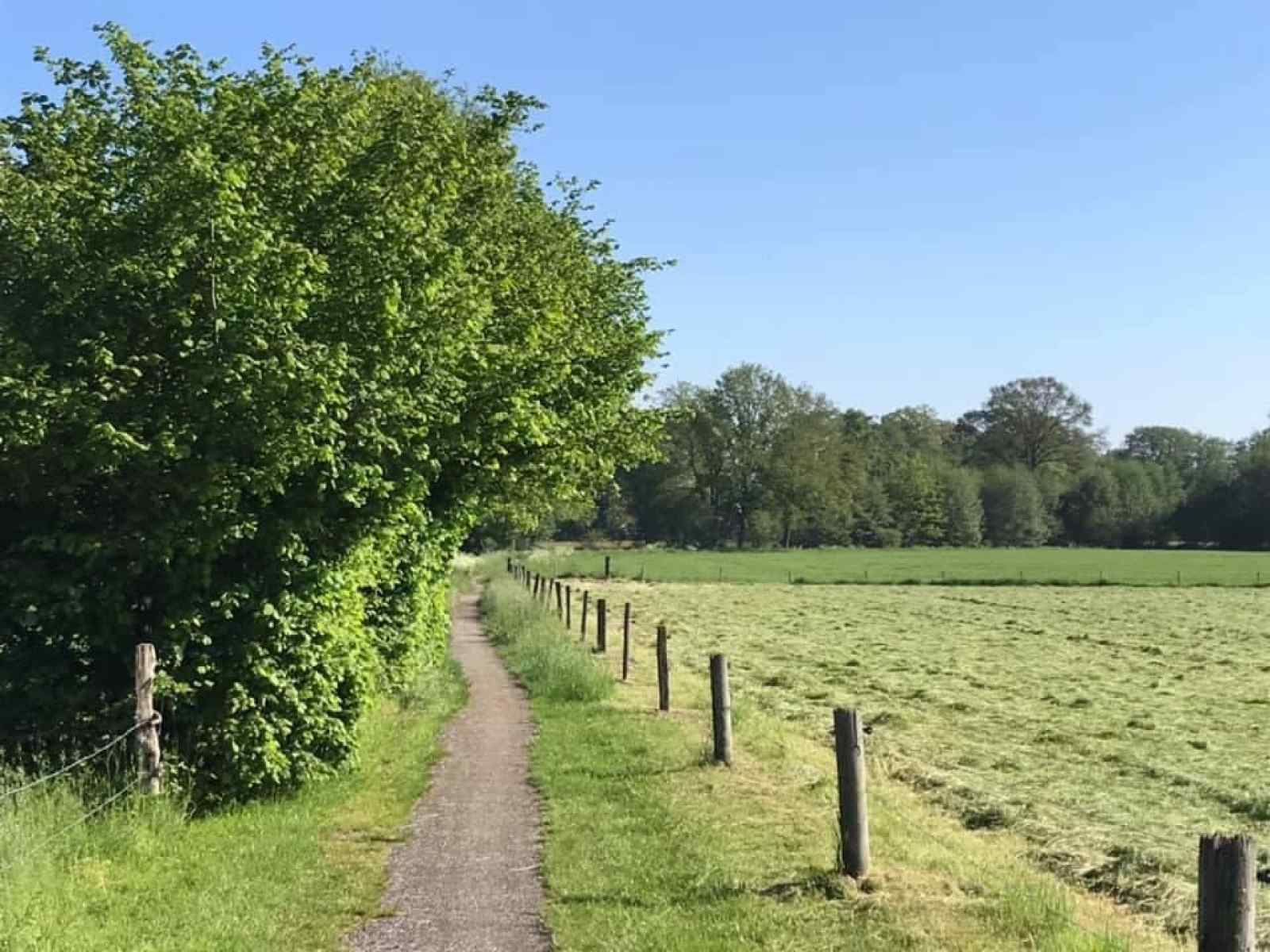 magisch-6-persoons-vakantiehuis-met-een-sauna-en-omringd-door-natuur-in-winterswijk