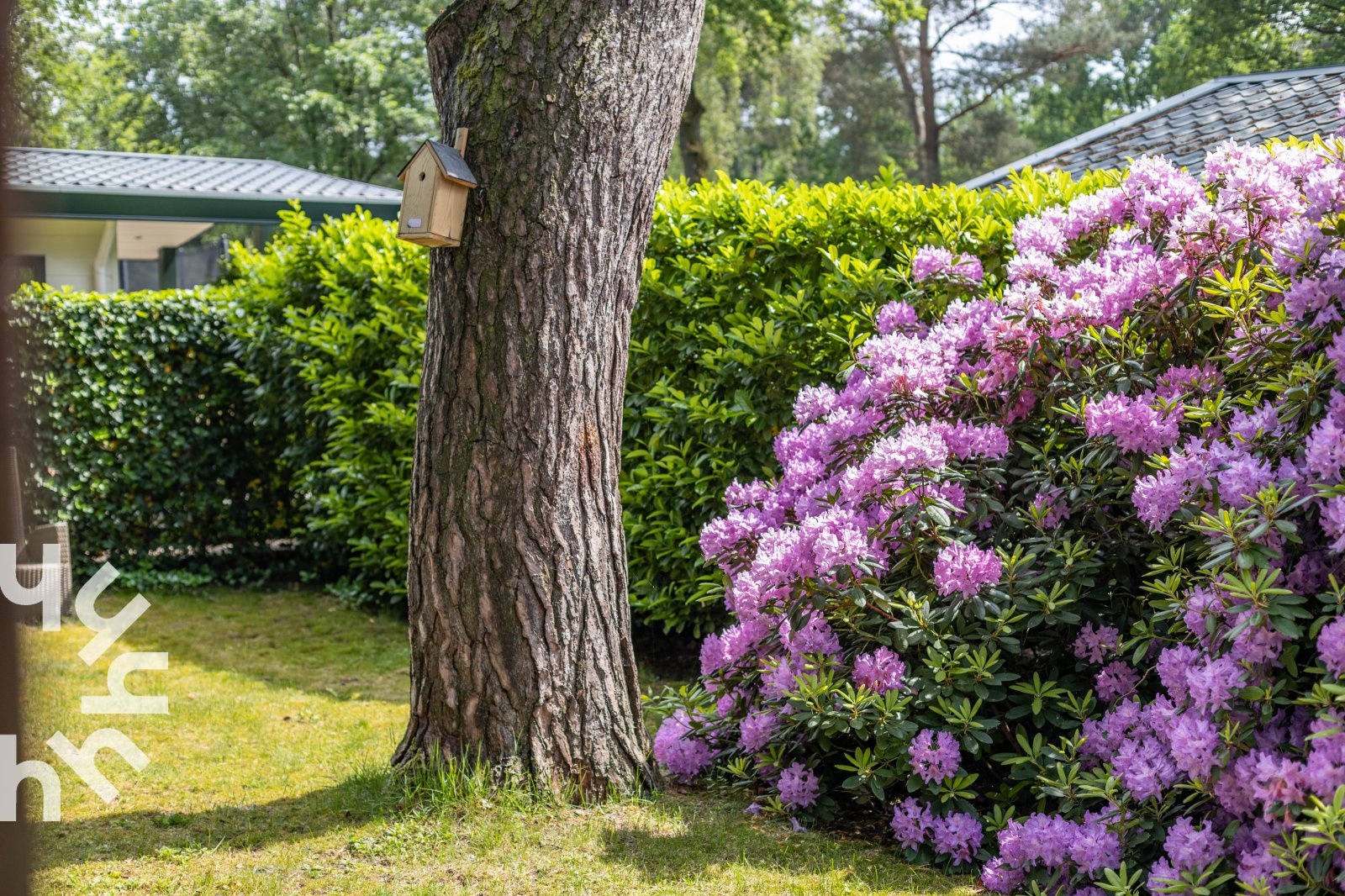 5-persoons-bungalow-met-omheinde-tuin-en-privacy-op-de-veluwe-met-een-zwembad-op-het-park