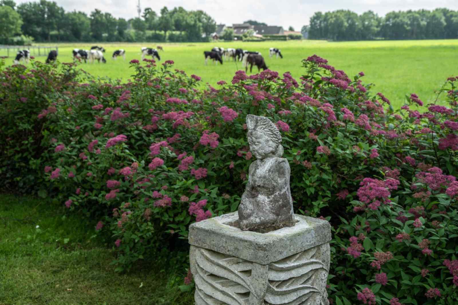 mooi-en-landelijk-gelegen-8-persoons-vakantiehuis-in-wapse-drenthe