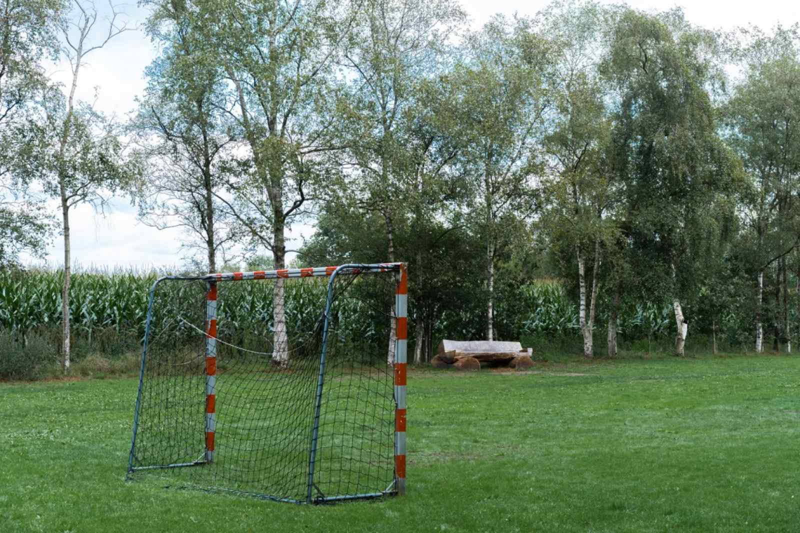 DG989