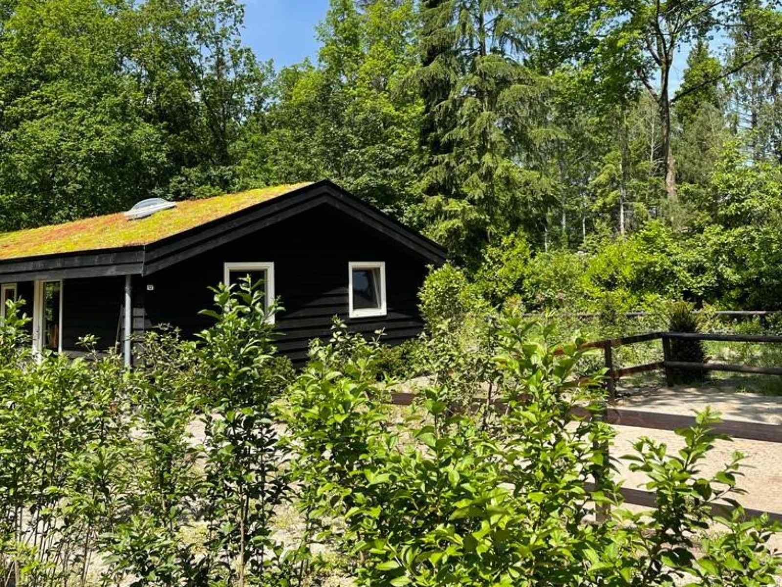 gelijkvloerse-4-persoons-bungalow-met-grote-tuin-in-winterswijk