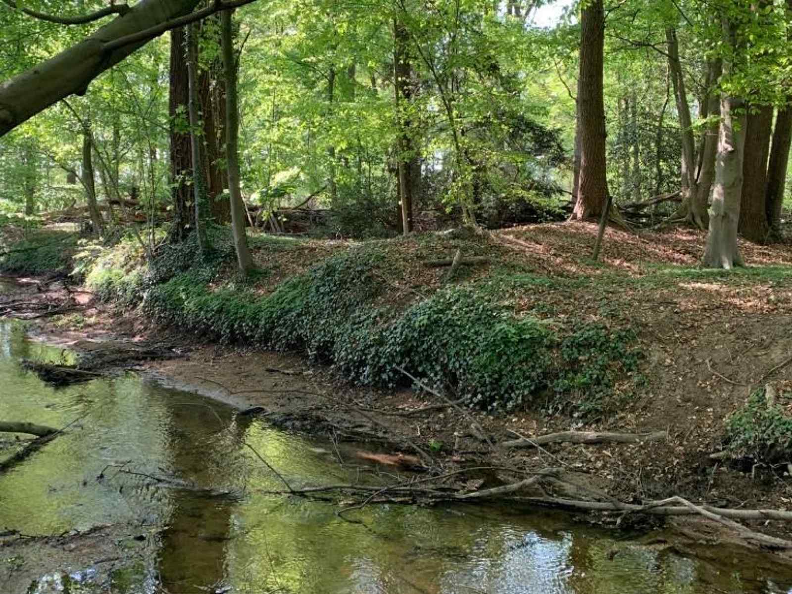 gelijkvloerse-4-persoons-bungalow-met-grote-tuin-in-winterswijk