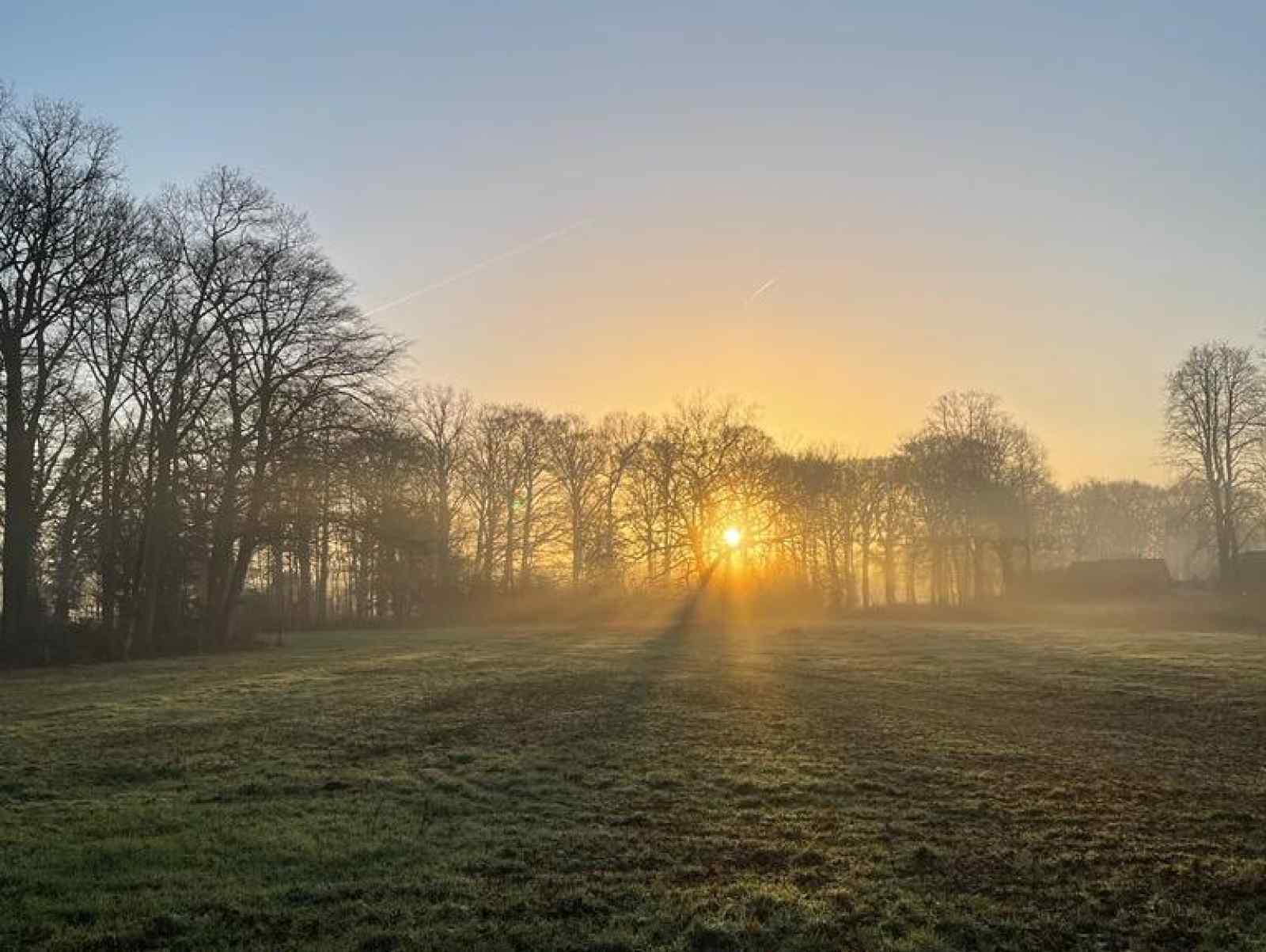 gelijkvloerse-4-persoons-bungalow-met-grote-tuin-in-winterswijk